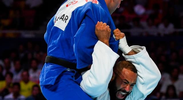 Cultuur Trivia Vraag: Wat betekent 'judo'?