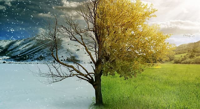 Nature Trivia Question: What causes the cycle of seasons on Earth?