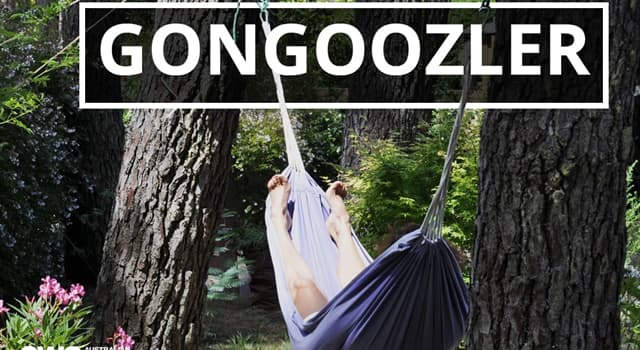 Society Trivia Question: What does a gongoozler like to do?