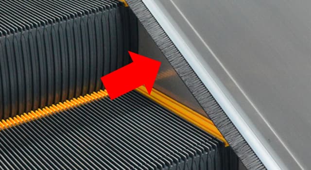 Society Trivia Question: What is the purpose of the brushes installed on the sides of escalators?