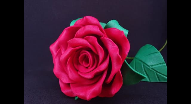Cultura Pregunta Trivia: ¿Cuál es el hiperónimo de la palabra "rosa"?