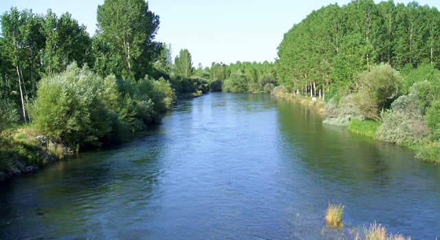 Geografía Pregunta Trivia: ¿Dónde desemboca el río Esla?
