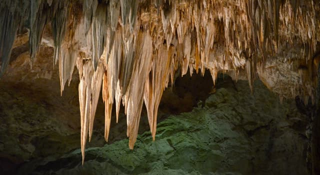 Natuur Trivia Vraag: Hoe heet een soort formatie die aan het plafond van grotten hangt?