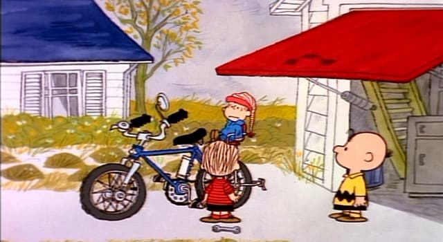 Culture Trivia Question: In the "Peanuts" cartoon, what is the name of Linus and Lucy's younger brother?