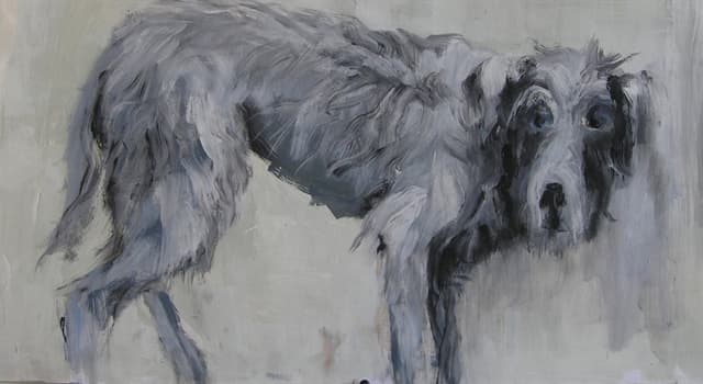 Cultura Pergunta Trivial: Na mitologia grega, quem era o cão fiel de Ulisses?