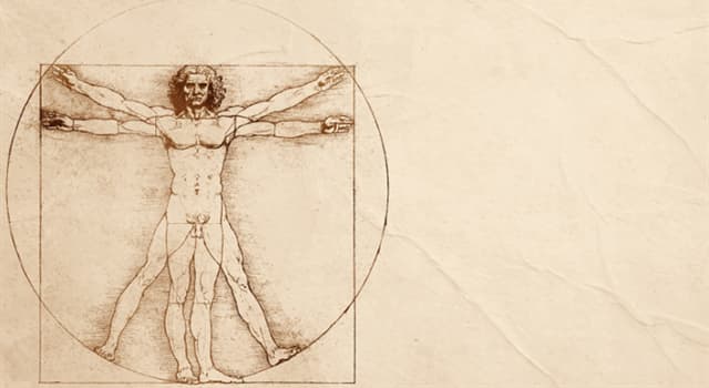 Cultuur Trivia Vraag: Wat wilde Leonardo da Vinci uitbeelden met de Vitruviusman?