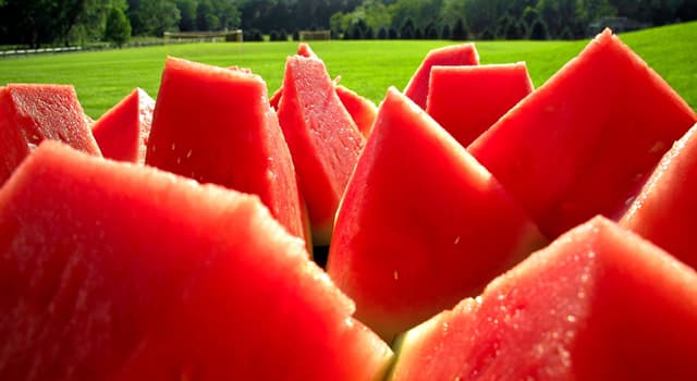 Natuur Trivia Vraag: Waar werd voor het eerst een watermeloen gevonden?