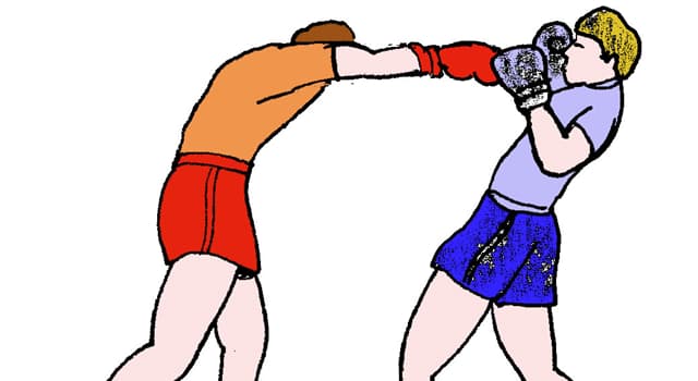 Sport Trivia Question: Which of the following combination of 'punches' is called the ''one-two combo'' in boxing?