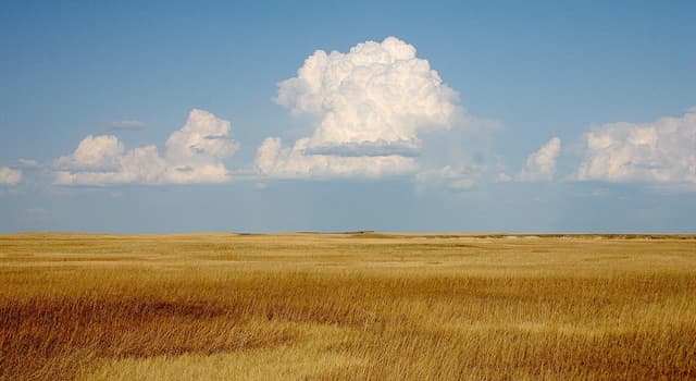 Natuur Trivia Vraag: Welke van deze is een enorm vlak grasland met gematigde temperaturen?