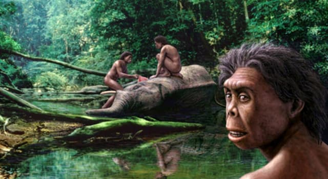 nauka Pytanie-Ciekawostka: Jak nazywany jest gatunek hominida Homo floresiensis (człowiek z Flores)?