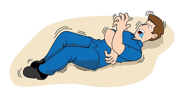 Наука Вопрос: Как называются резкие, секундные сгибательные сокращения групп мышц?