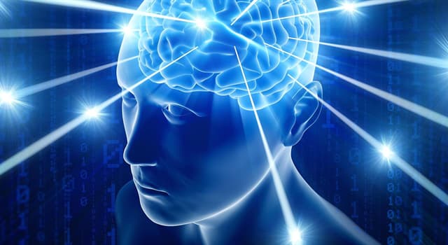 Ciências Pergunta Trivial: Qual é o nome do experimento mental de John Searle publicado em 1980?
