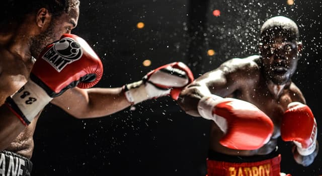 Sport Question: Quel est ce sport de combat ?