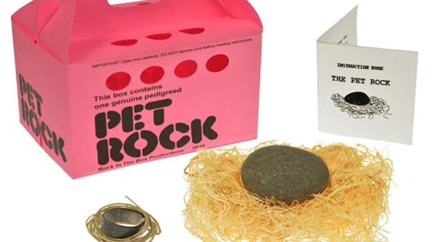 Sociedad Pregunta Trivia: ¿Quién fue el creador de la Pet Rock (Piedra Mascota)?
