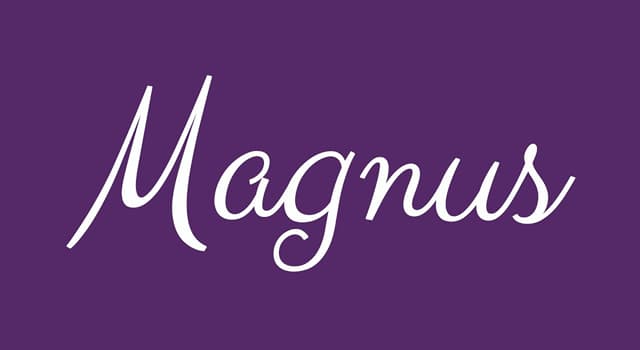 사람 이름에 많이 쓰이는 라틴어 단어 '마그누스(Magnus)'의 뜻은? | 상식 퀴즈 | Quizzclub