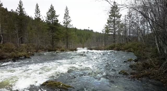 Aardrijkskunde Trivia Vraag: Wat is het grootste bosgebied van de wereld?