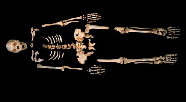 Wetenschap Trivia Vraag: Wat is osteomyelitis?