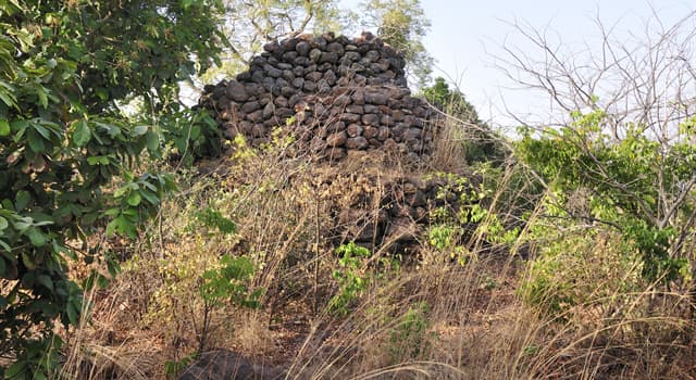 Aardrijkskunde Trivia Vraag: Wat is het hoogste punt in Burkina Faso?