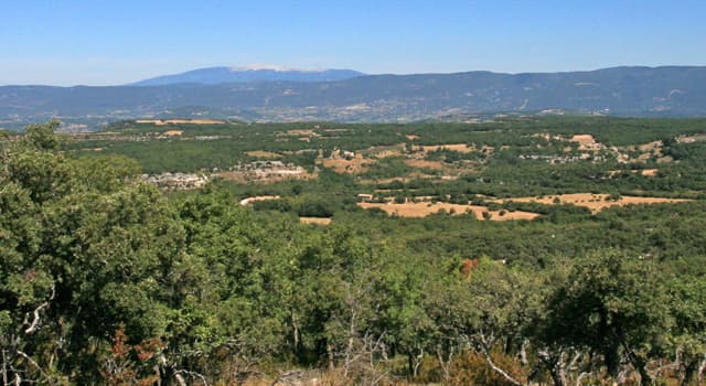 Aardrijkskunde Trivia Vraag: Welke berg wordt de "Reus van de Provence" genoemd?