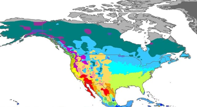 Science Trivia Question: Which is one of the most widely used climate classification systems?