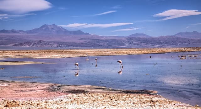 Geografia Pytanie-Ciekawostka: Co z tego jest największym solniskiem w Chile?