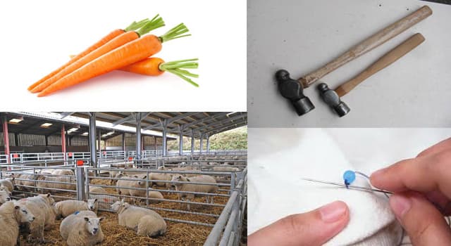 Toplum Trivia Sorusu: 'Pin' nedir?