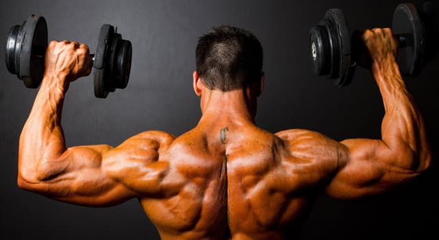 Deporte Pregunta Trivia: ¿Qué disciplina se basa en realizar ejercicios físicos para desarrollar musculatura con fines estéticos?