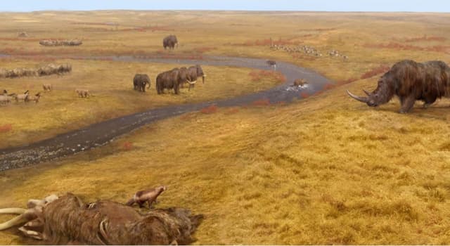 Wetenschap Trivia Vraag: Waar wordt een poging gedaan om de mammoetsteppe opnieuw te creëren?