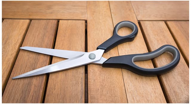 History Trivia Question: Where were the first scissors found?