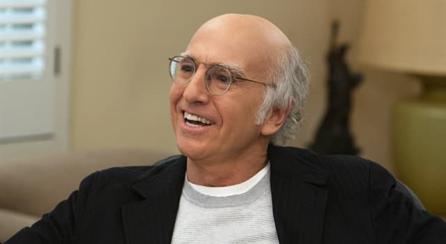 Movies & TV Trivia Question: Which American TV series was created by Larry David starring as a fictionalized version of himself?