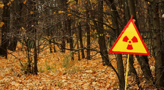 Geschiedenis Trivia Vraag: Hoe heet het bos binnen de Vervreemdingszone van Tsjernobyl?