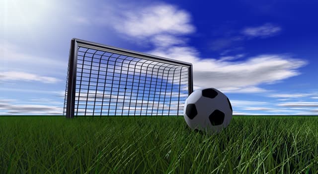 Спорт Вопрос: Назовите правильные размеры стандартных футбольных ворот?