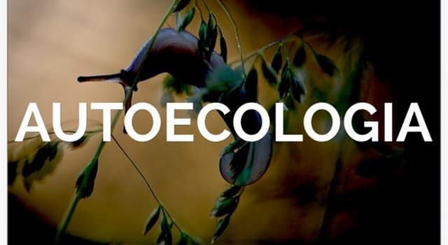 Naturaleza Pregunta Trivia: ¿Qué estudia la autoecología?