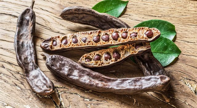 Natuur Trivia Vraag: De johannesbroodboom behoort tot dezelfde familie als welke boom of plant?