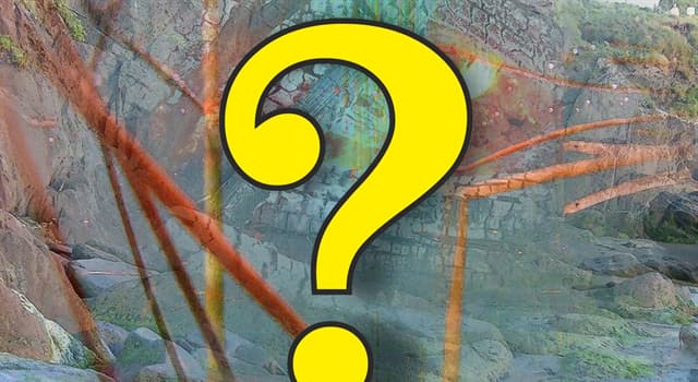 Naturaleza Pregunta Trivia: ¿Qué es un bonobo?