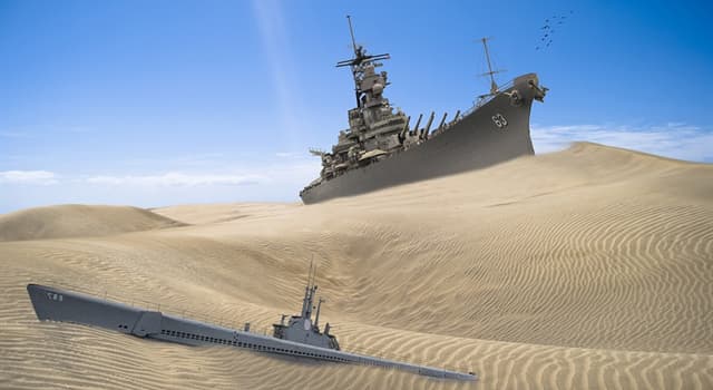 Natuur Trivia Vraag: Welk dier staat bekend als het schip van de woestijn?