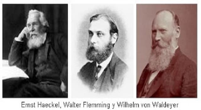 Сiencia Pregunta Trivia: ¿A qué científico se le considera uno de los fundadores del estudio de la citogenética?