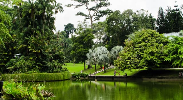 Natuur Trivia Vraag: Waar is in 2020 de enige tropische tuin die wordt erkend als een UNESCO-werelderfgoed?