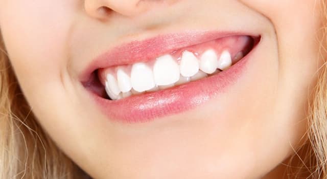 Science Trivia Question: Which part of a tooth contains nerves and blood vessels?