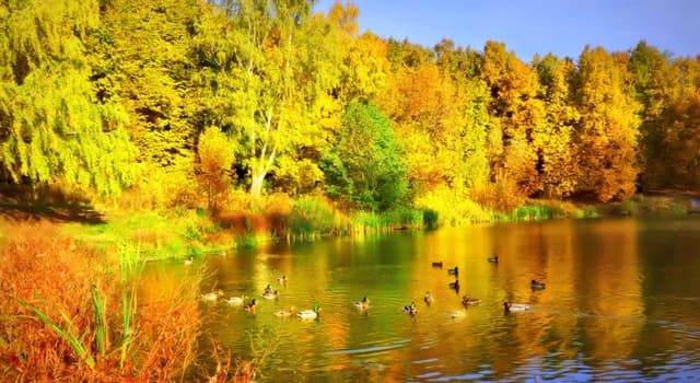 Natuur Trivia Vraag: Hoe heet een periode van ongebruikelijk warm en droog weer die soms in de herfst voorkomt?