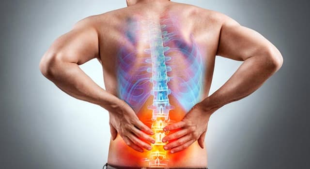 nauka Pytanie-Ciekawostka: Czym zajmuje się ortopedia?