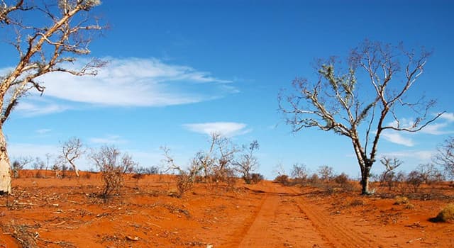 Aardrijkskunde Trivia Vraag: Wat is de grootste woestijn van Australië?