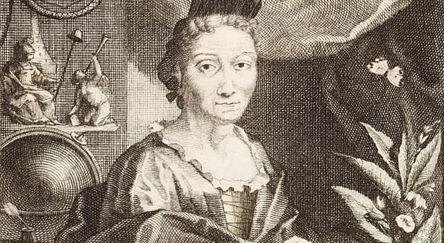 Historia Pregunta Trivia: ¿Quién fue Maria Sibylla Merian?