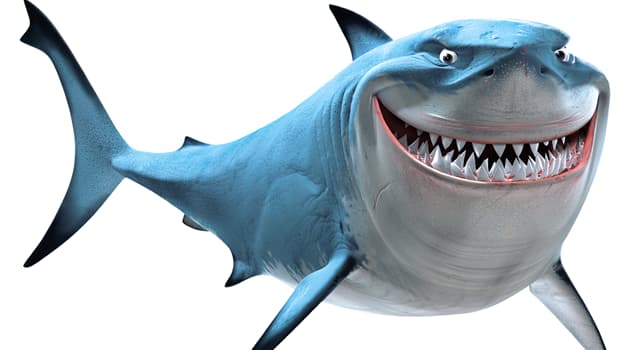 Movies & TV Trivia Question: Which actor provided the voice for the shark called Bruce in the film "Finding Nemo"?