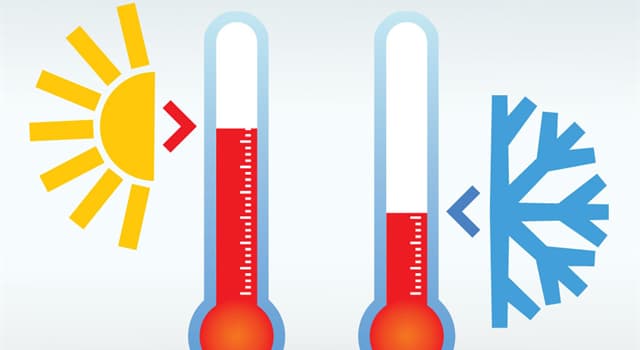 Wetenschap Trivia Vraag: Welke van deze speelt een ongelooflijk belangrijke rol bij thermoregulatie?