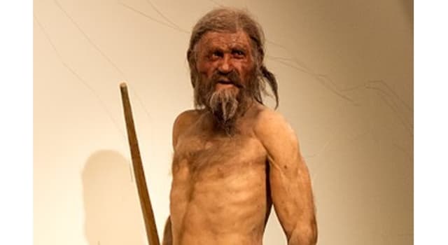 Cultura Pregunta Trivia: ¿Cómo murió Ötzi, la momia más antigua encontrada hasta el momento?