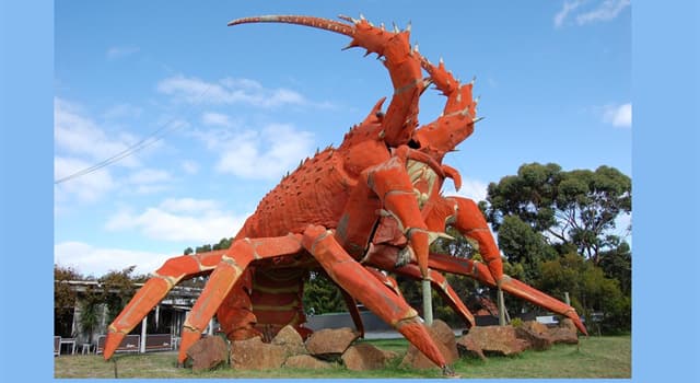 Cultuur Trivia Vraag: Waar staat de sculptuur "Big Lobster"?