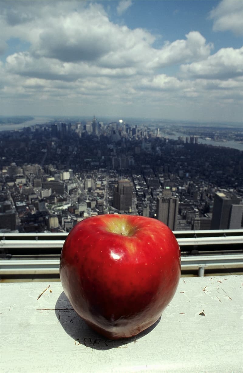 Kültür Trivia Sorusu: "Big Apple" hangi şehrin takma adıdır?
