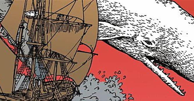 Kultura Pytanie-Ciekawostka: Jak nazywał się statek wielorybniczy kapitana Ahaba z powieści "Moby Dick"?