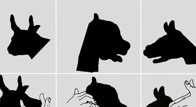 Cultuur Trivia Vraag: Wat zijn schaduwpoppen?